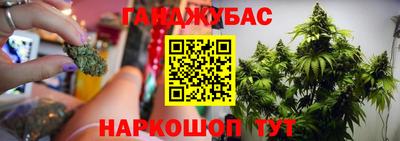 герыч Моздок