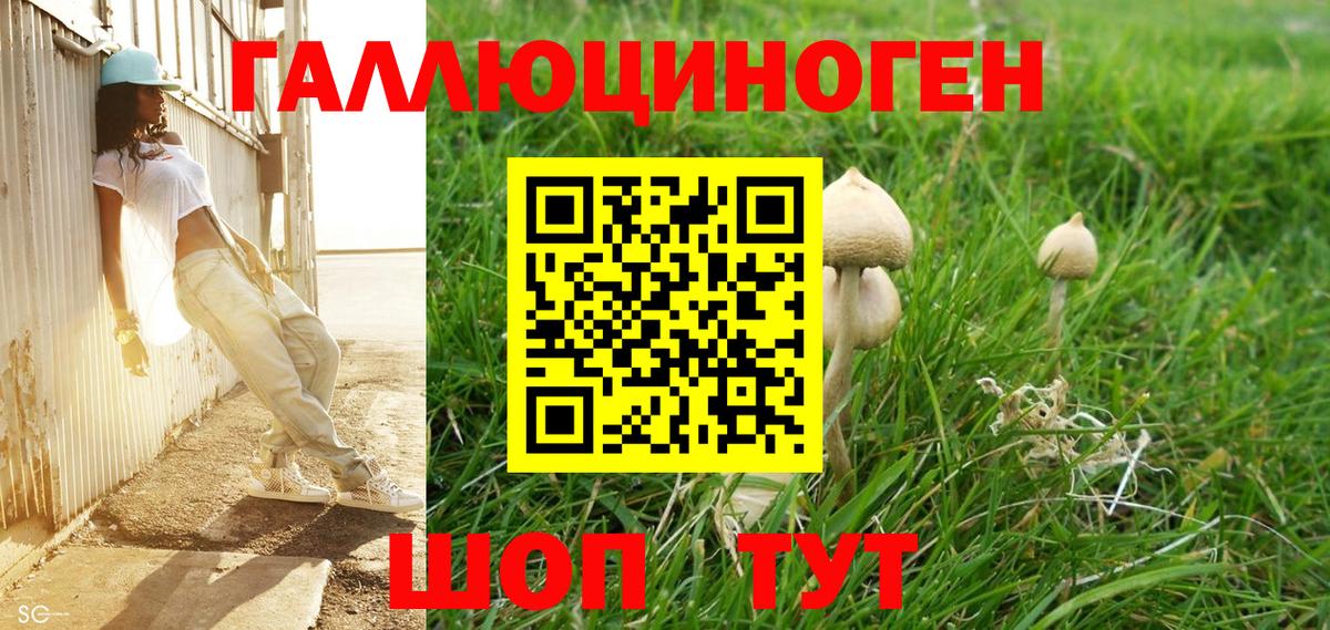 Псилоцибиновые грибы MAGIC MUSHROOMS Сорочинск
